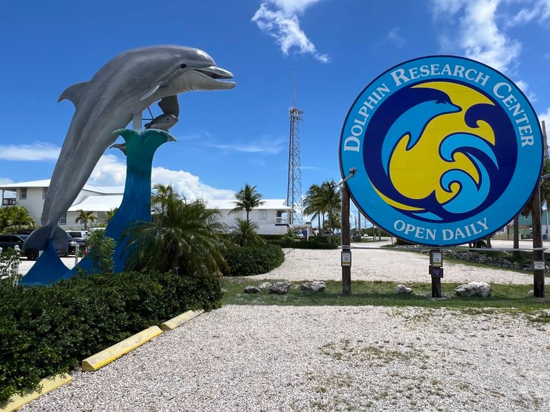 Dolphin Research Center (Grassy Key)