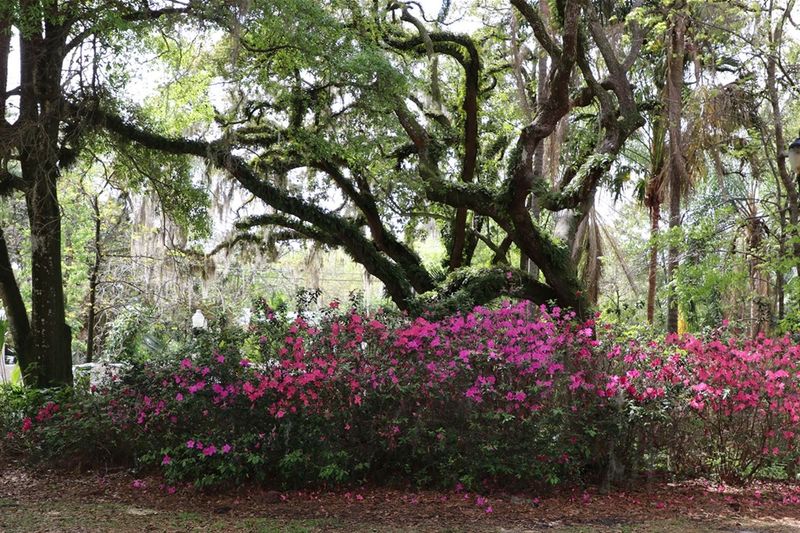 Dickson Azalea Park – Orlando, FL