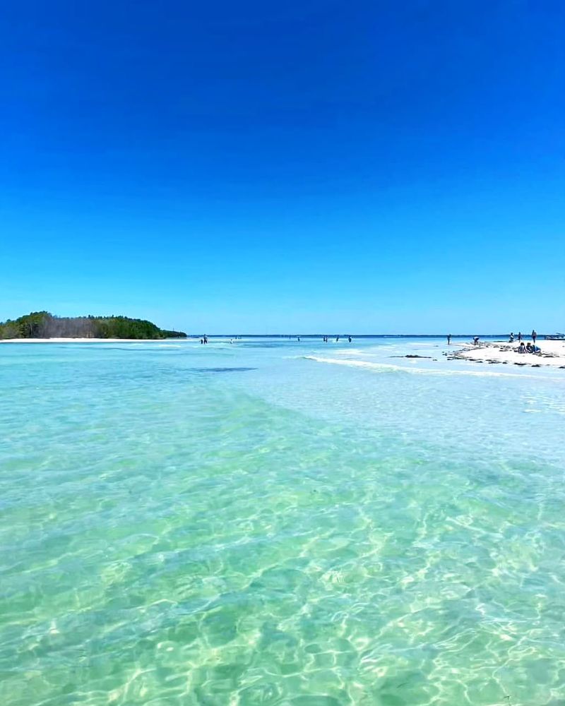 Honeymoon Island State Park – Dunedin