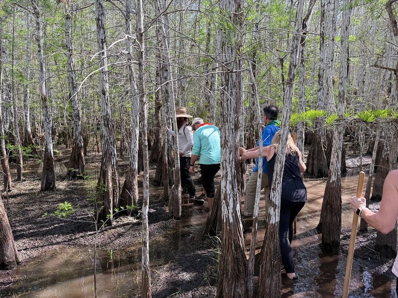 Join a guided cypress