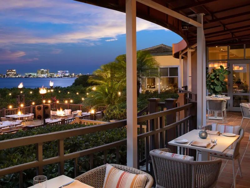 Oystercatchers — Tampa