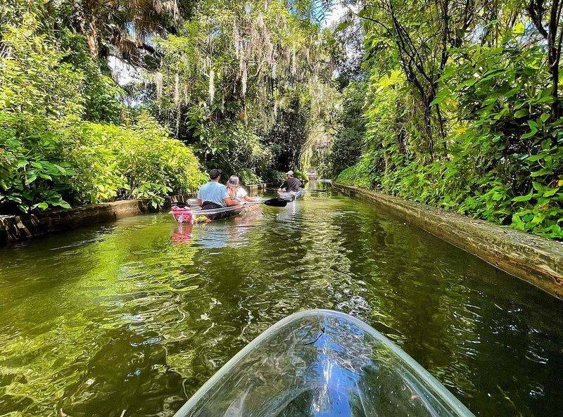 Spot Amazing Wildlife and Nature