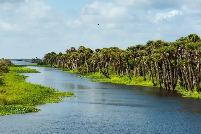 Blue Cypress Lake – Vero Beach