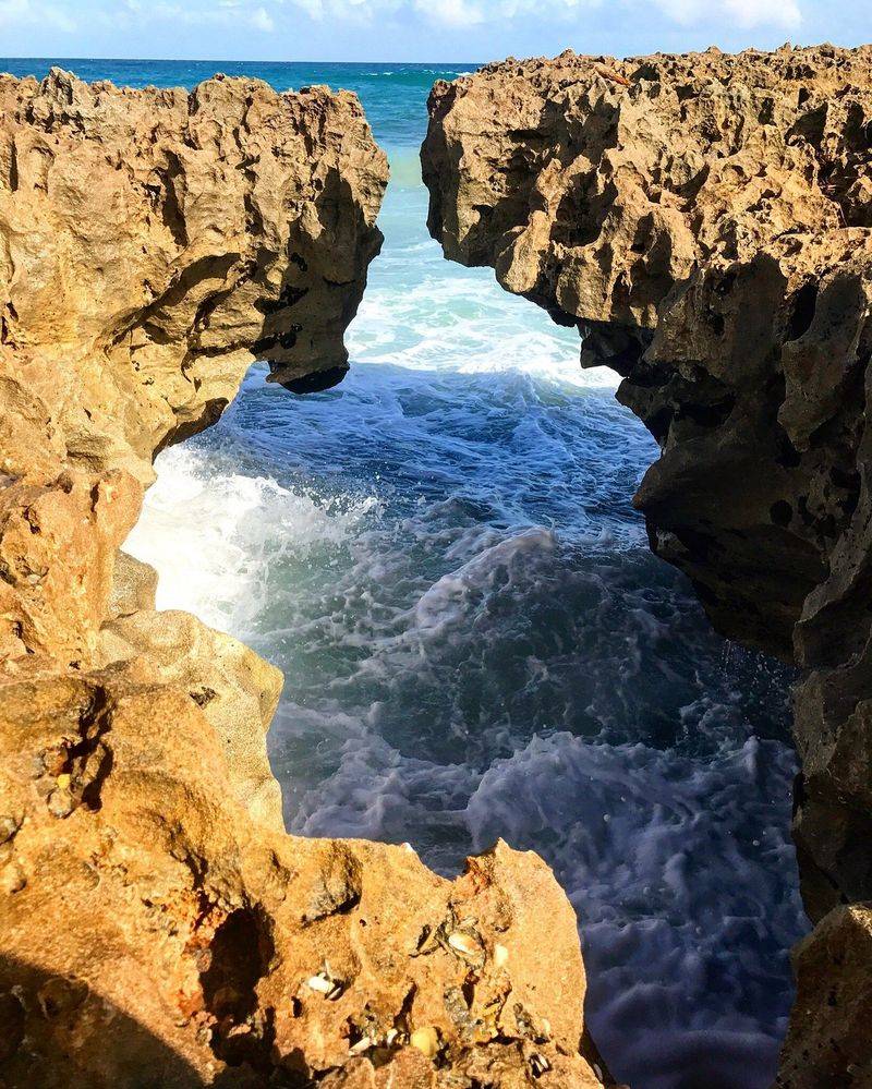 Blowing Rocks Preserve