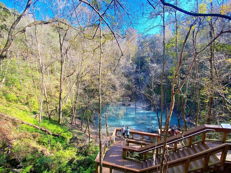 Devil's Millhopper Geological State Park (Gainesville)