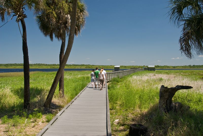 Myakka River State Park (Sarasota area)