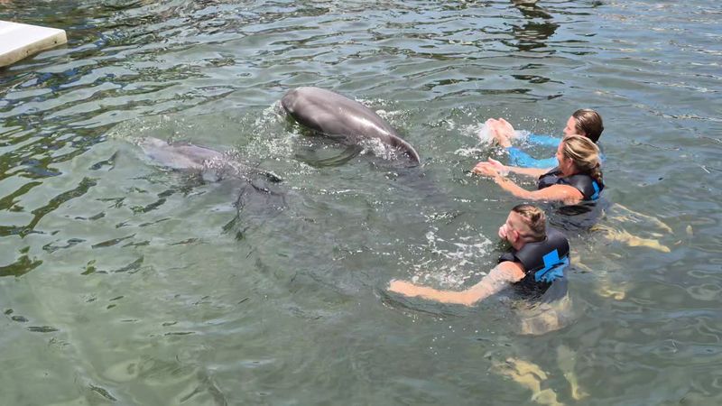 Key Largo eco-waters — Key Largo, FL