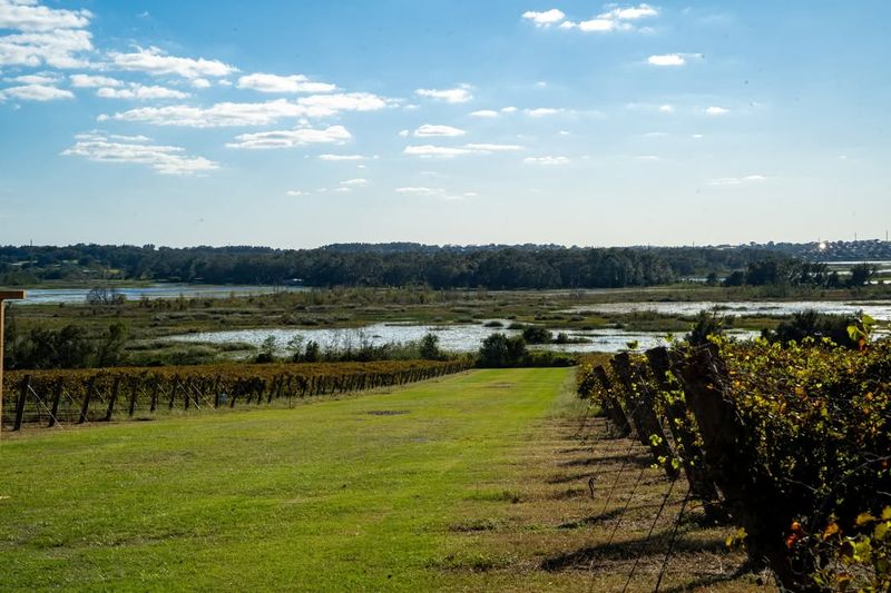Lakeridge Winery & Vineyards – Clermont
