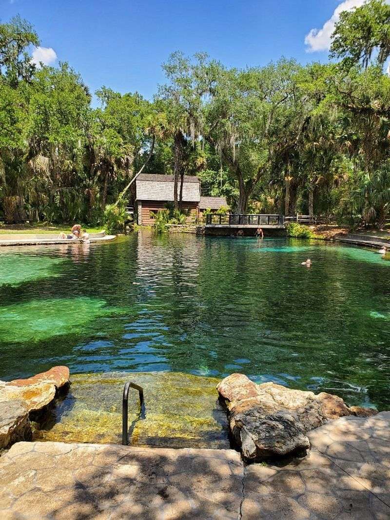 Ocala National Forest's Juniper Springs