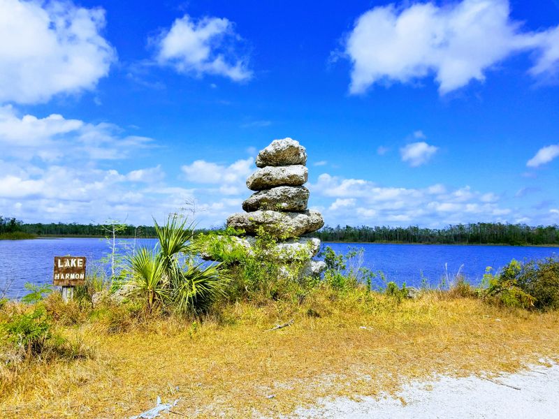 Fakahatchee Strand Preserve Boardwalk