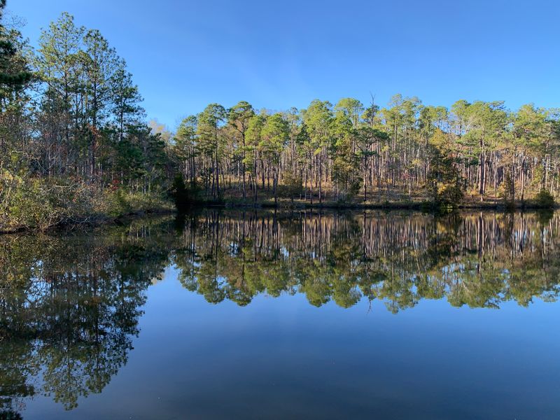 Falling Waters State Park – Chipley