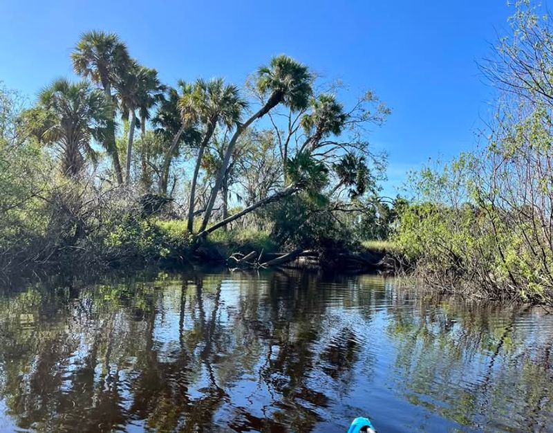 Myakka River (Gulf Coast)