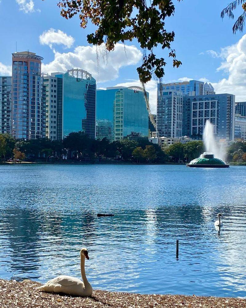 Stroll Lake Eola Park
