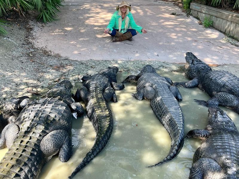 Gatorland – Orlando