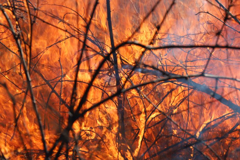 Wildfires Surged During Florida's 2025 Droughty Stretch