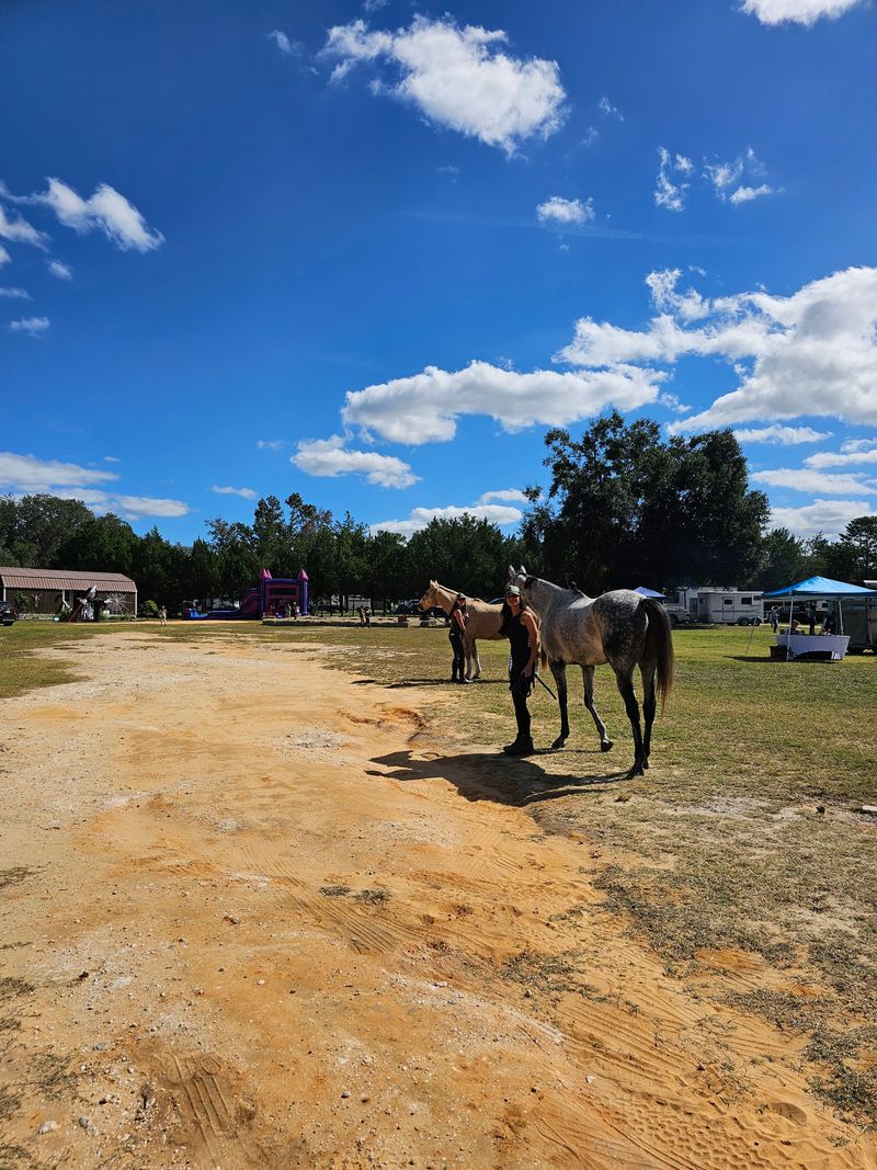 Black Horse Resort Ranch (Umatilla)