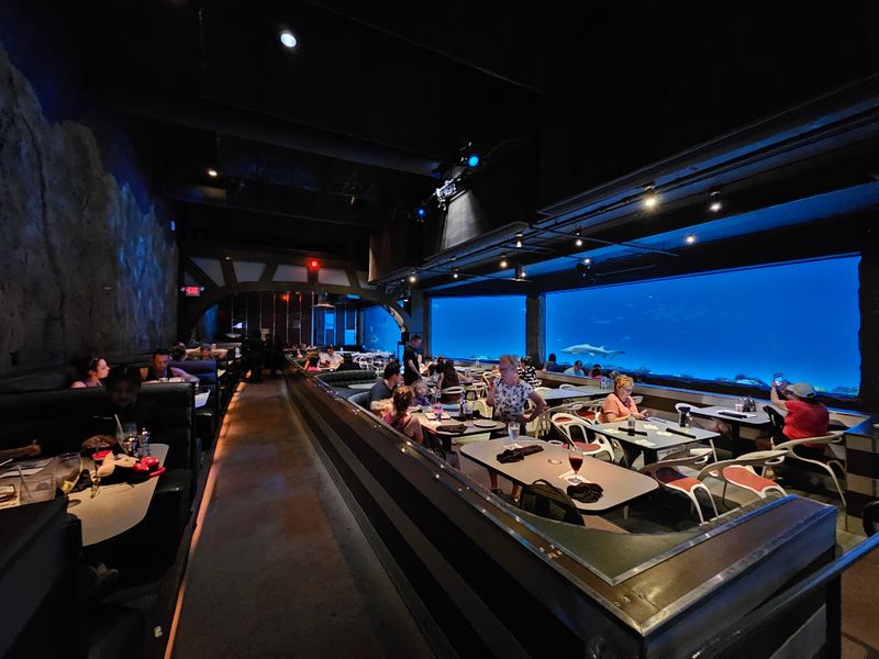 Sharks Underwater Grill — SeaWorld Orlando