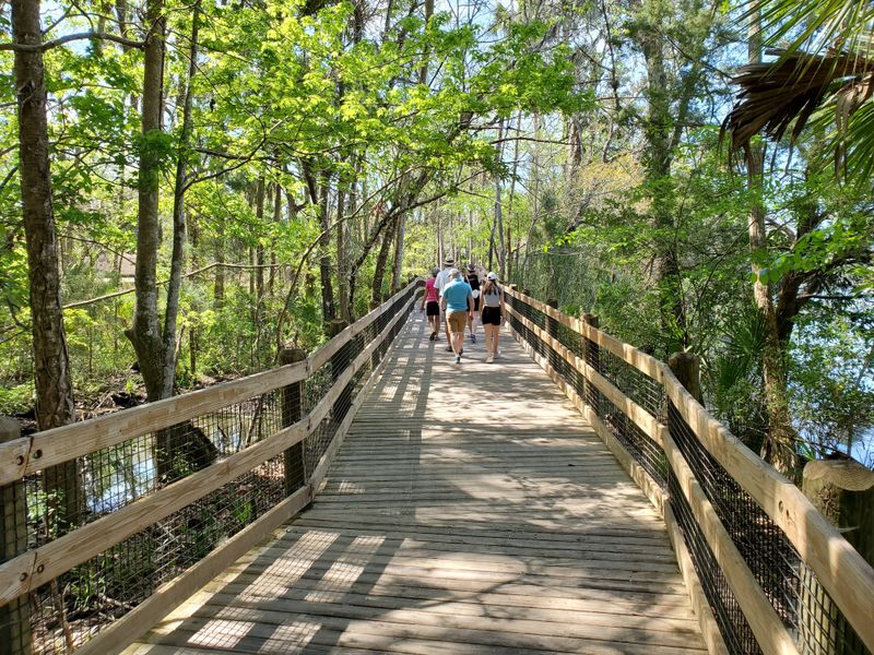 Is Homosassa Springs Wildlife State Park Worth the Trip? Final Thoughts