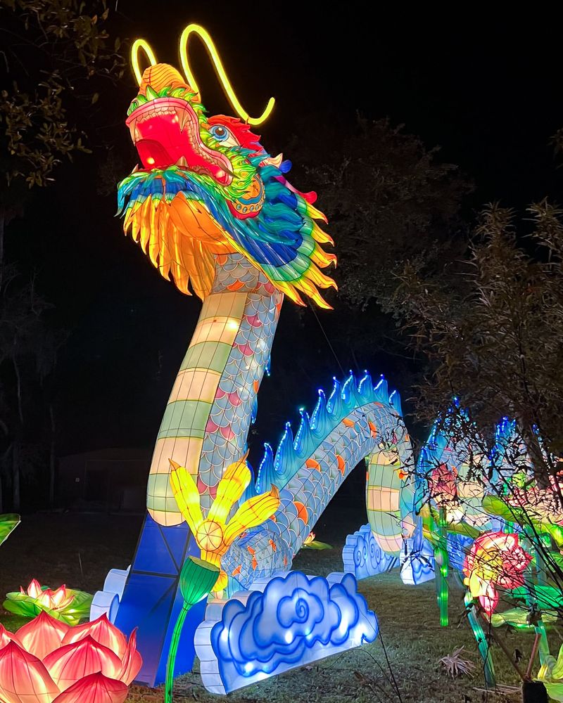 The Most Mesmerizing Light Displays You Can't Miss