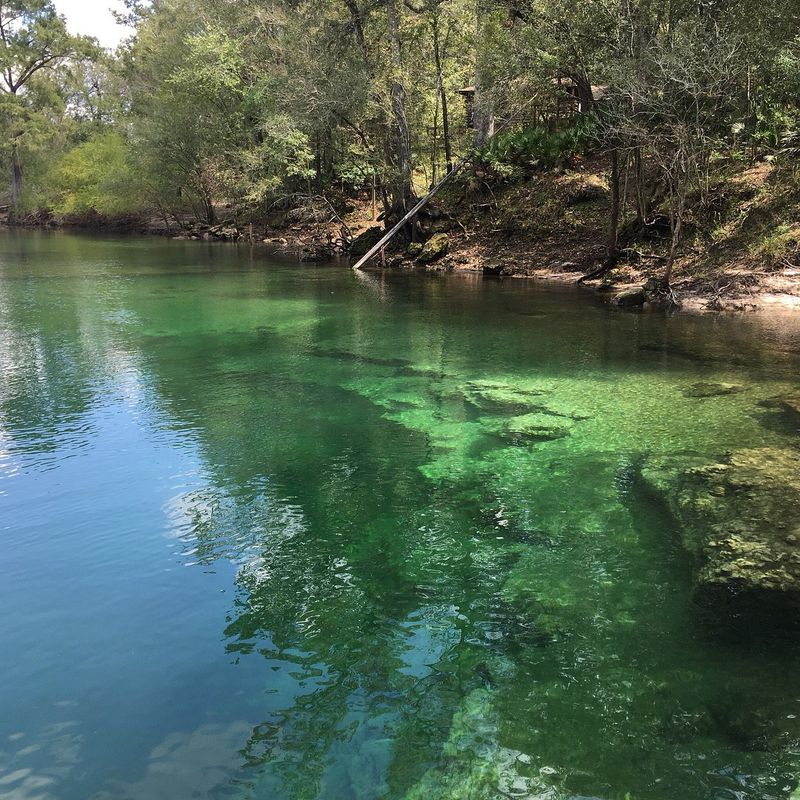 Lafayette Blue Springs State Park – Mayo, FL
