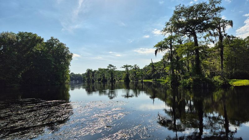 Wakulla Springs – Tallahassee