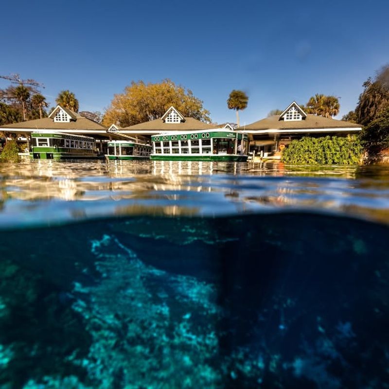 Silver Springs State Park (Ocala area)
