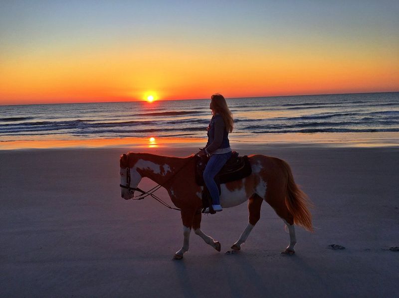 Amelia Island Horseback Riding (Fernandina Beach)
