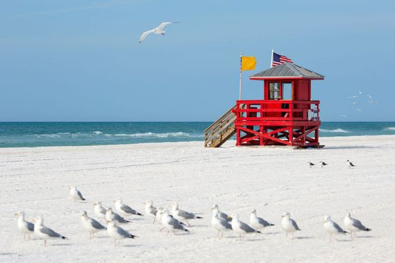 Siesta Beach (Sarasota)