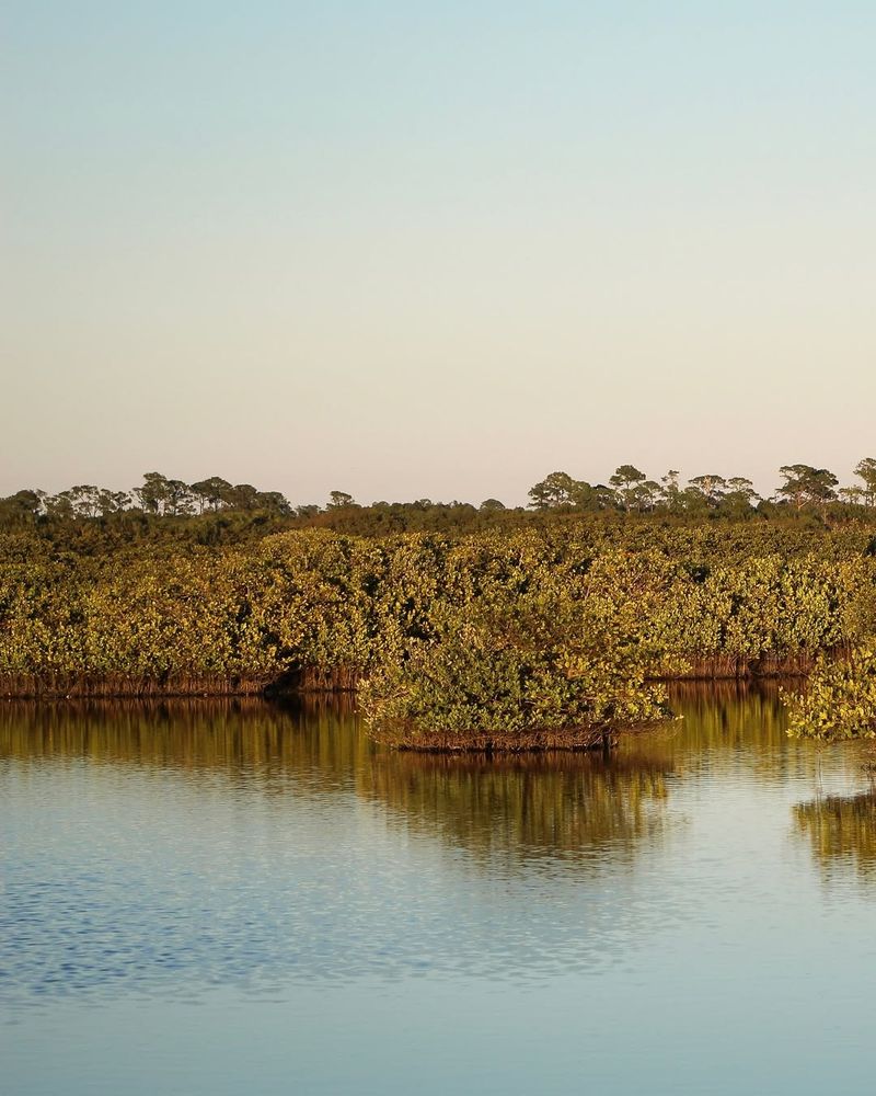 Do a Wildlife Day in the Keys or a Coastal Refuge