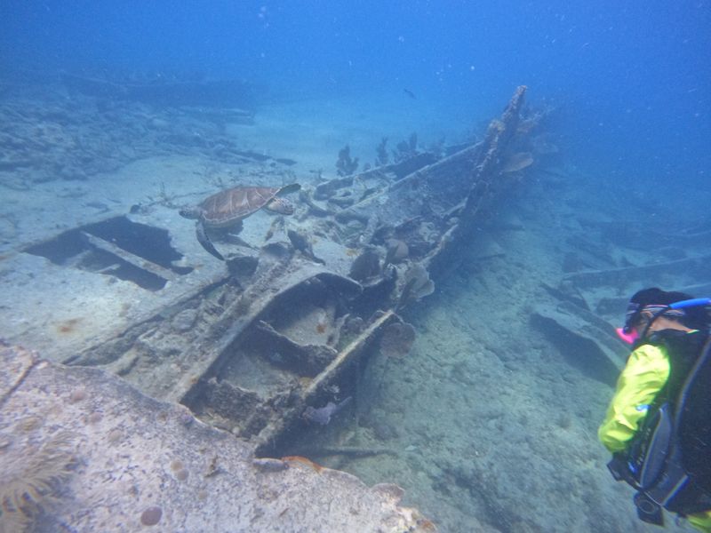 Benwood Wreck (Key Largo – French Reef area)