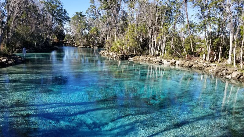 Crystal River Manatee Refuge – Crystal River
