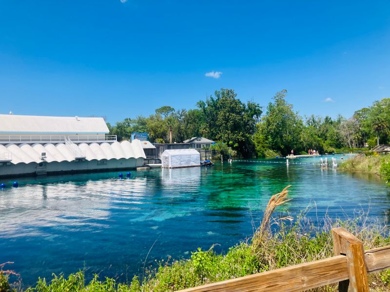 Weeki Wachee Springs — Spring Hill