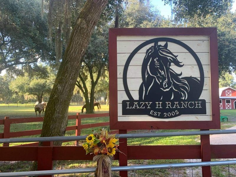 Lazy H Ranch Trail Rides (Kissimmee)