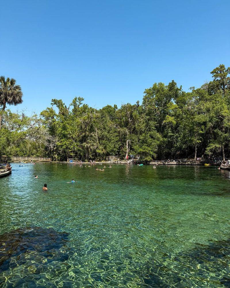 Swim in Wekiwa Springs