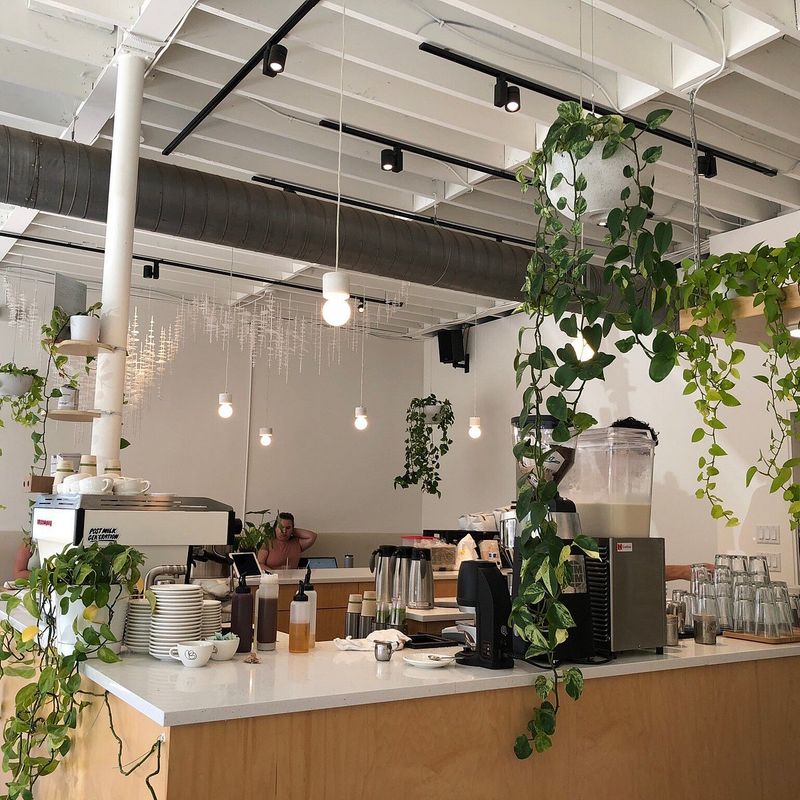 Project Coffee (Sarasota)