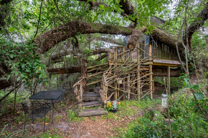 Glamping Treehouse on Farm, Live Oak