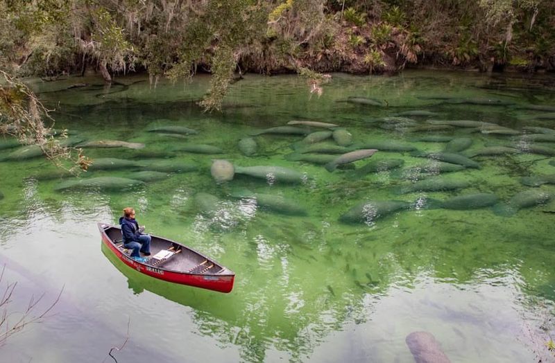 Blue Spring State Park — Orange City