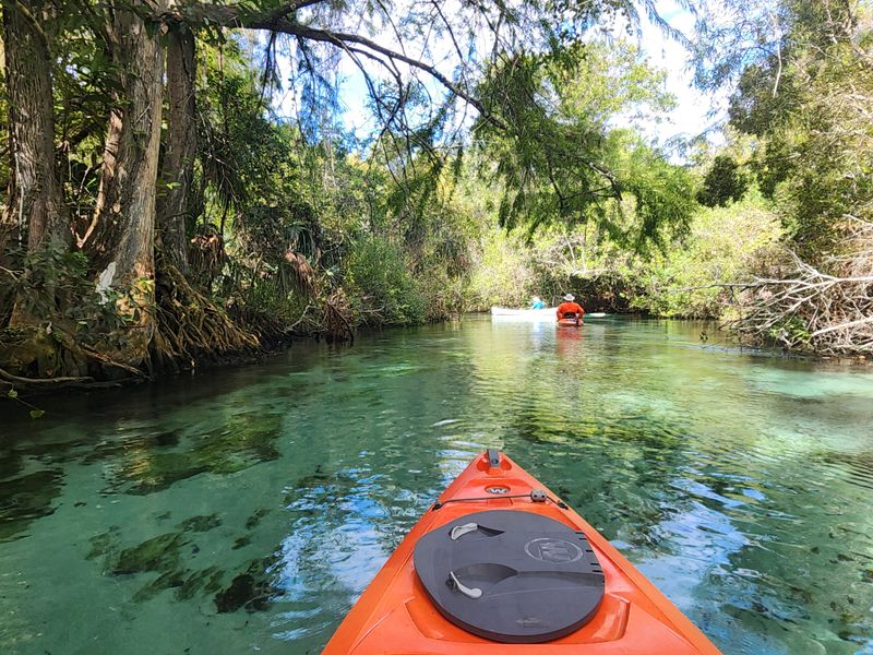 Kayak or paddleboard Weeki Wachee Springs (Weeki Wachee)