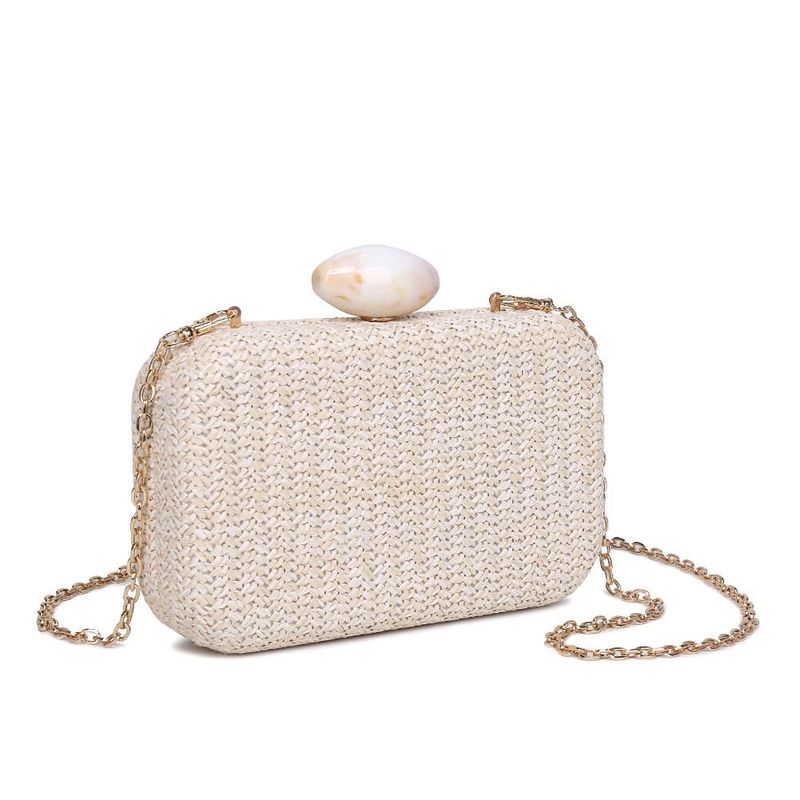 Glittering Clutch