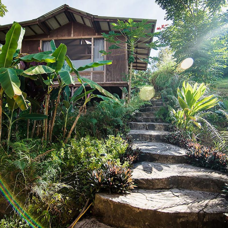 The Treehouse at Honaunau Farm – Live Oak