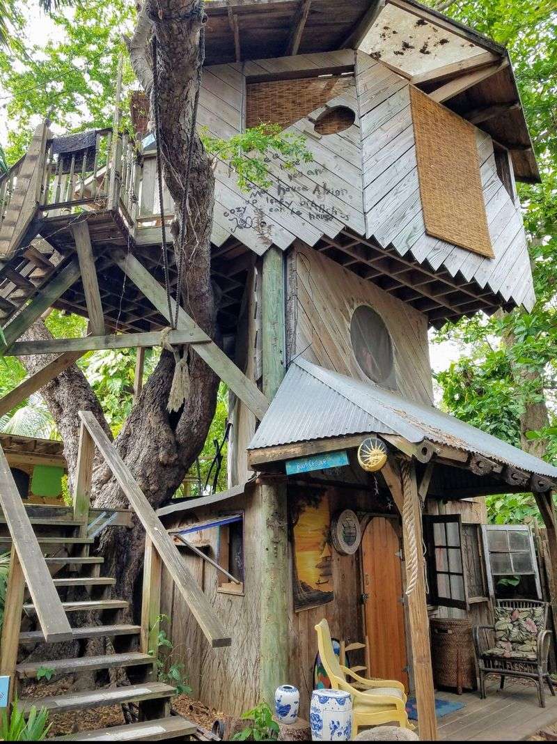 Treehouse Canopy Room on Permaculture Farm, Miami