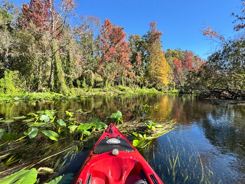 Kayak, Canoe, or Paddleboard Choosing the Best Way to Explore