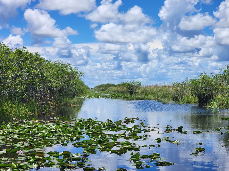 The Everglades River of Grass – South Florida