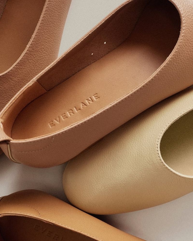 Everlane The Day Ballet Flats