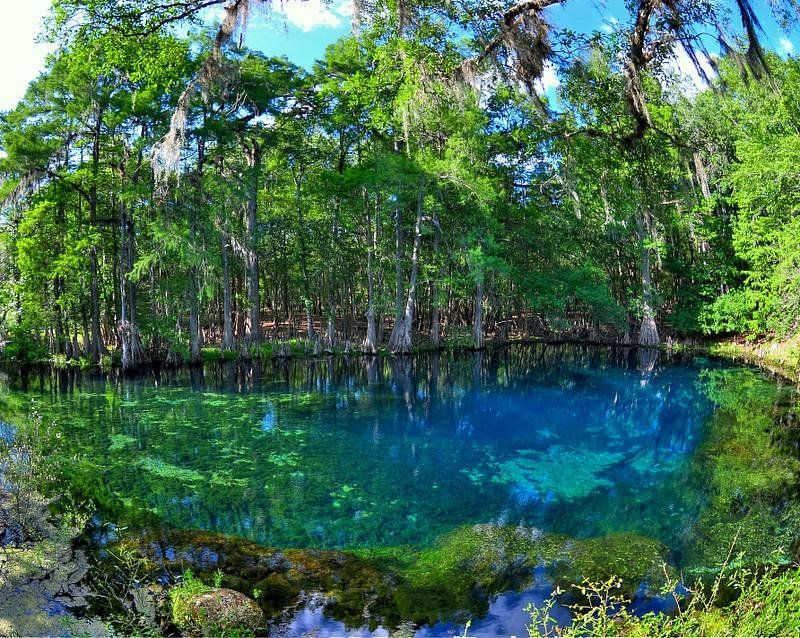 Manatee Springs State Park — Chiefland