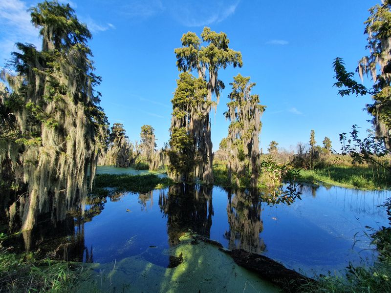 Circle B Bar Reserve (Lakeland)