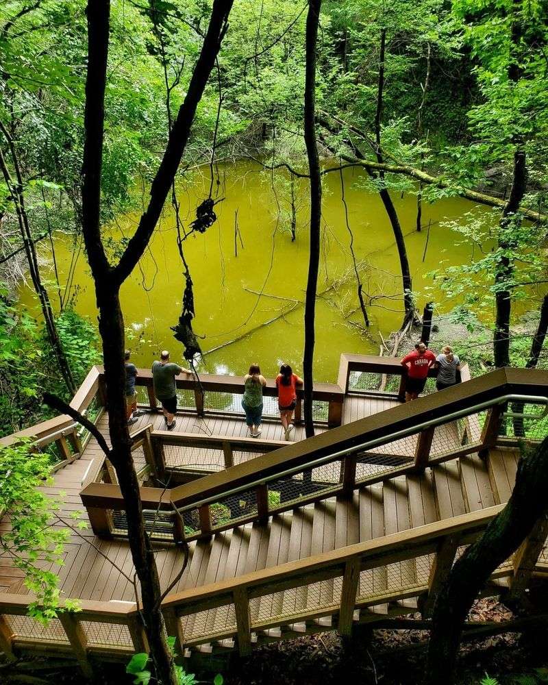 Devil's Millhopper Geological State Park — Gainesville