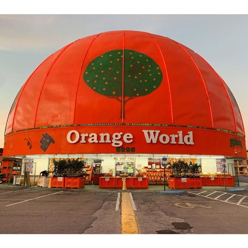 Eli's Orange World (Kissimmee)