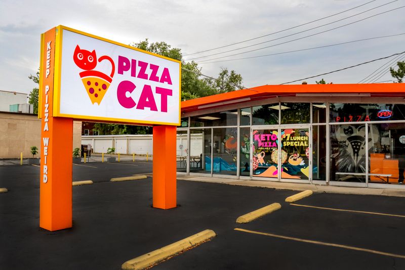 Pizza Cat