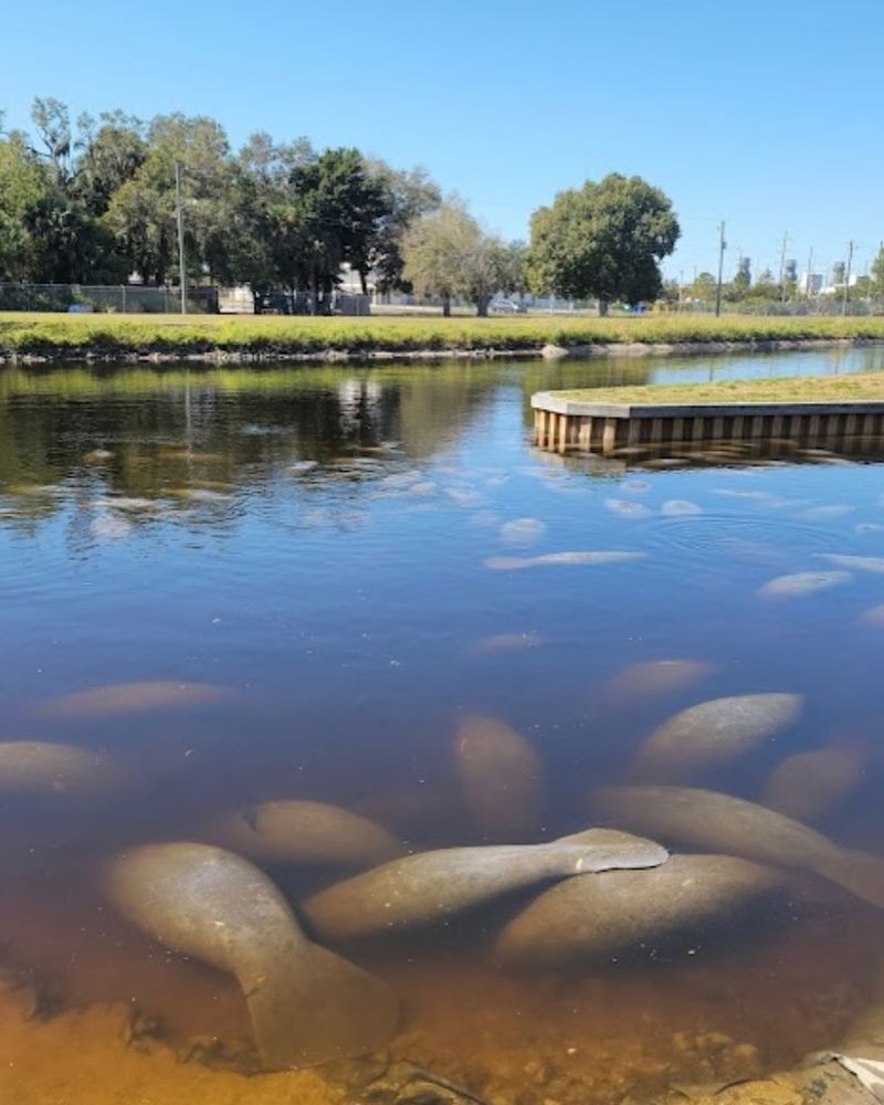 Manatee Park — Fort Myers